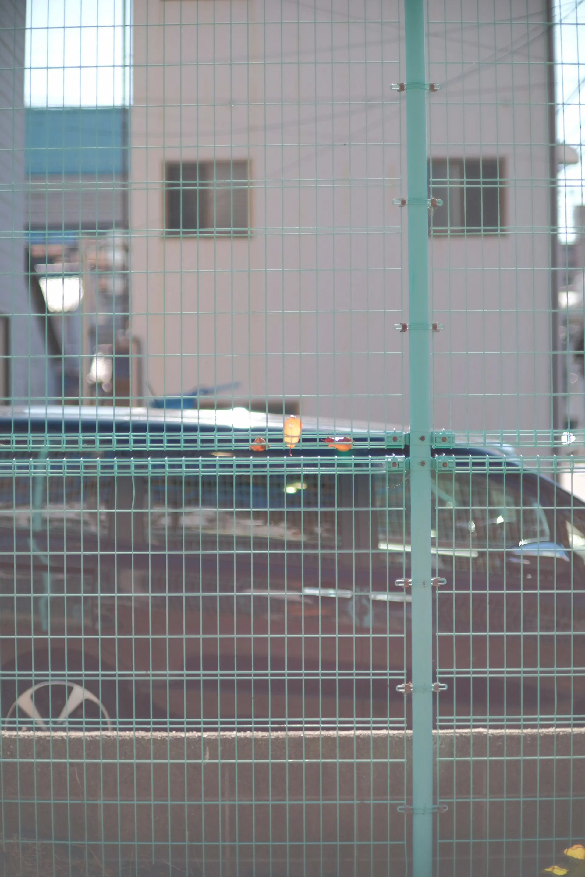 Een hekwerk zichtbaar met een auto op de achtergrond, wat veiligheid en constructie benadrukt